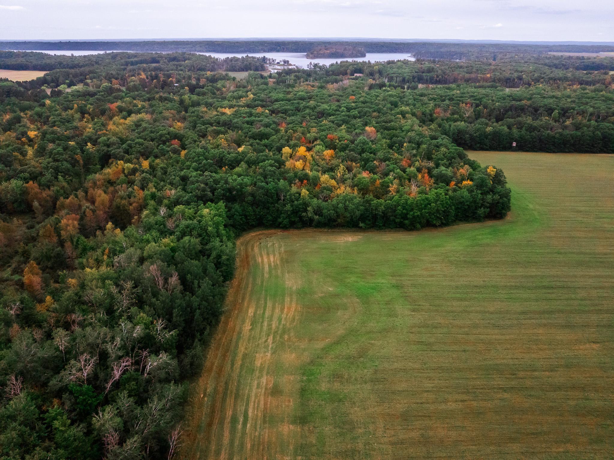 32619 40th Avenue Cushing, MN 56443 - Photo 11 of 61