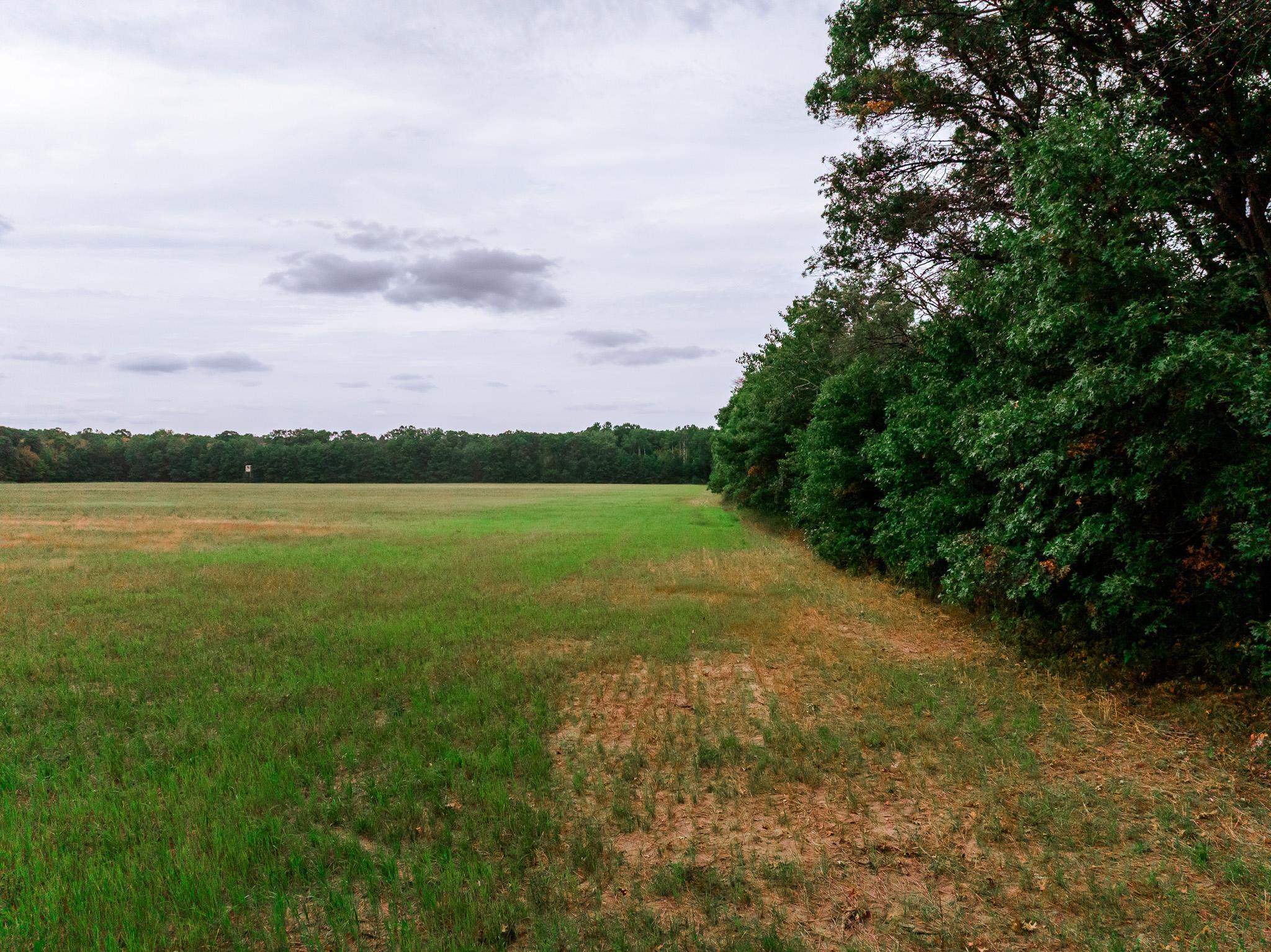 32619 40th Avenue Cushing, MN 56443 - Photo 26 of 61