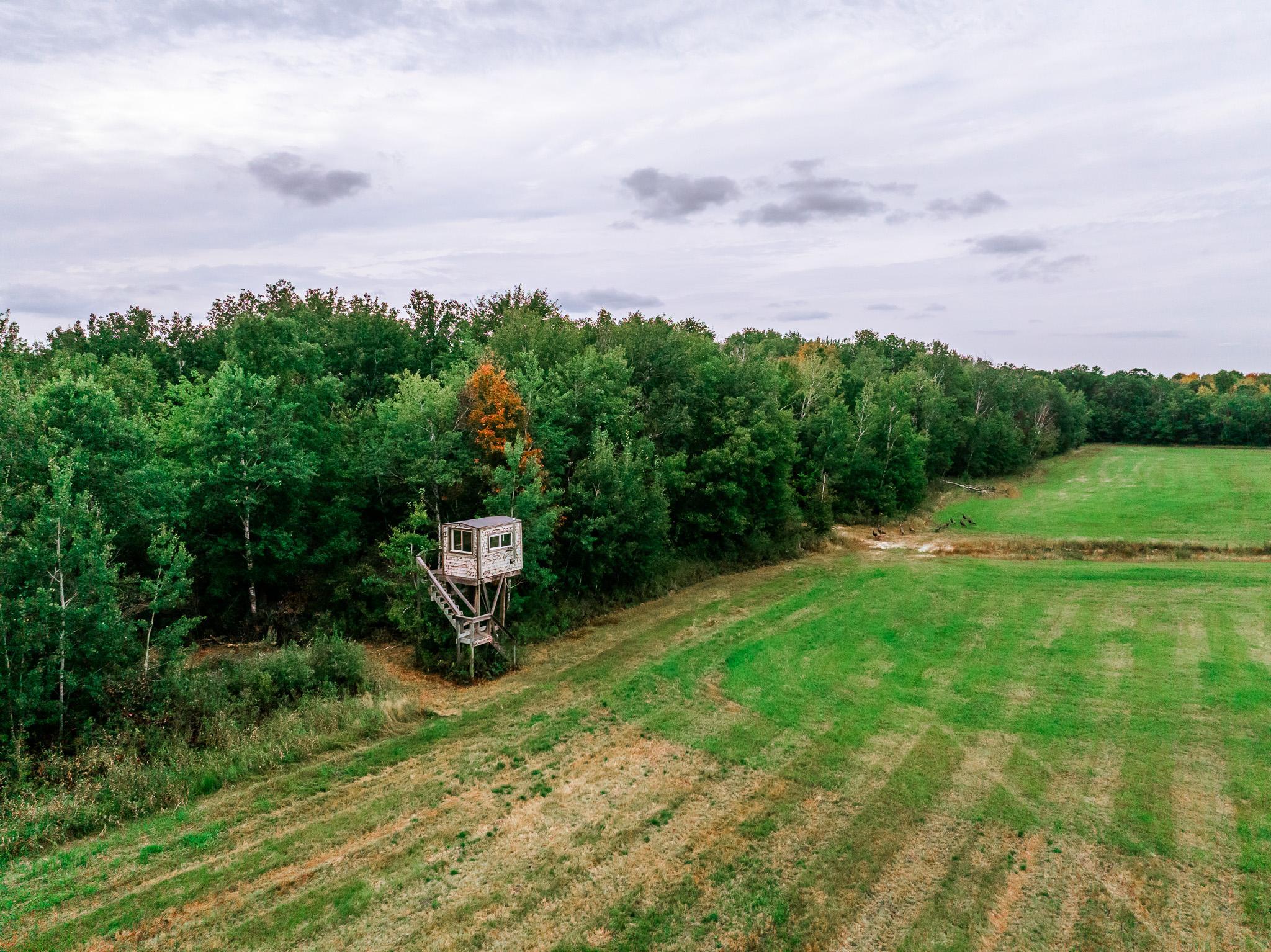 32619 40th Avenue Cushing, MN 56443 - Photo 42 of 61