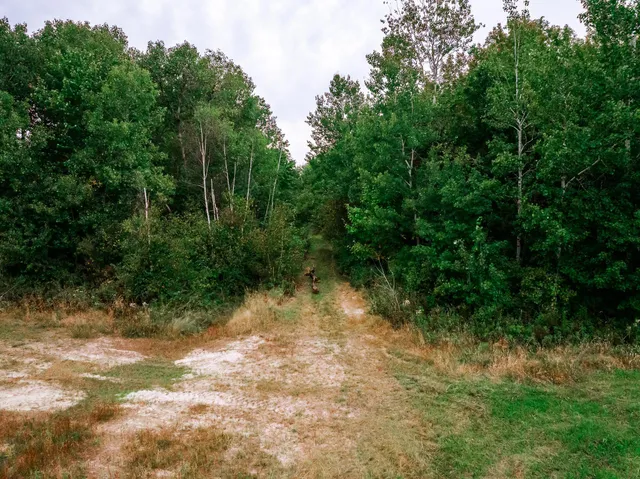 $639,000 | 32619 40th Avenue, Cushing, MN 56443