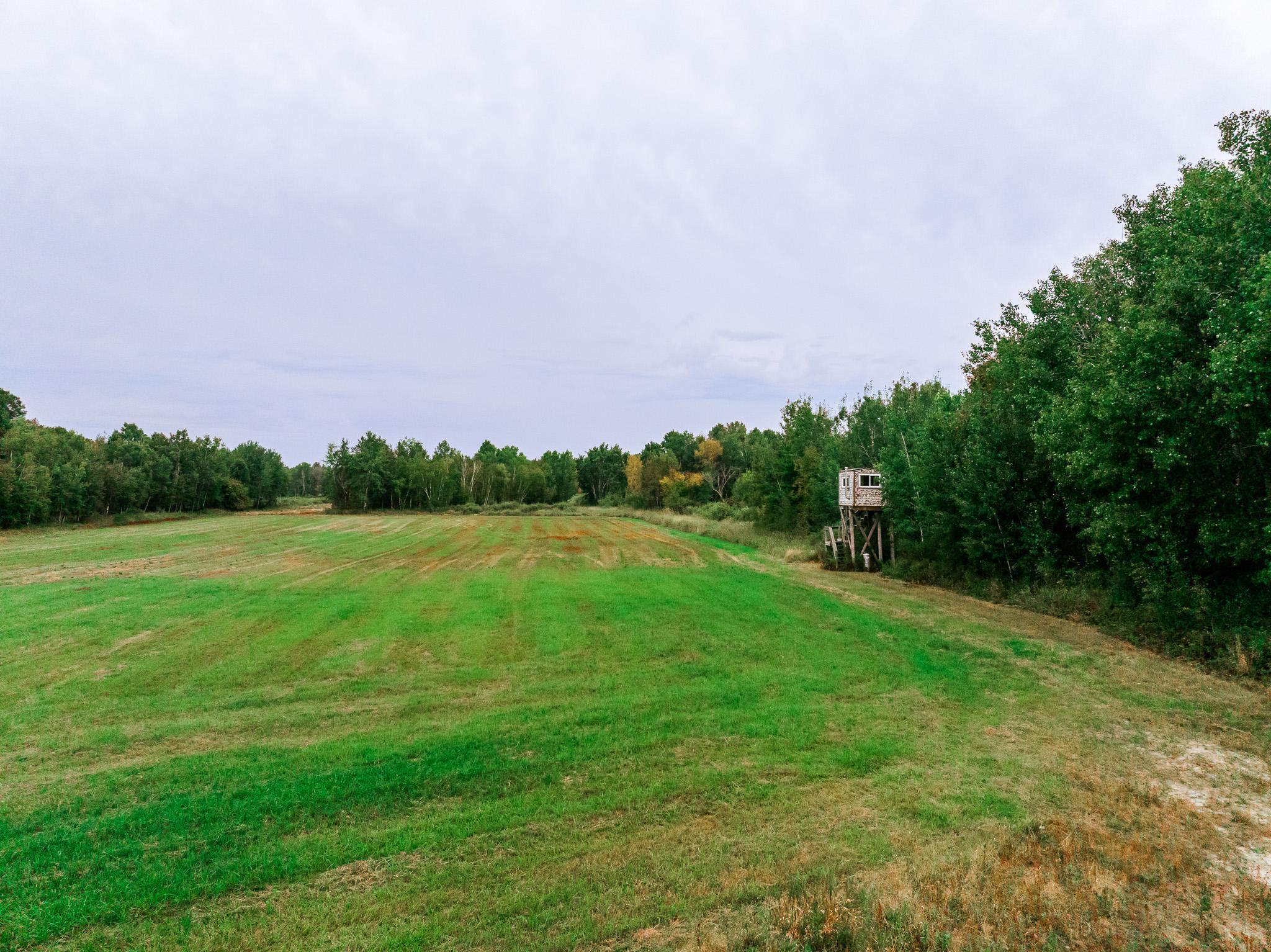 32619 40th Avenue Cushing, MN 56443 - Photo 44 of 61