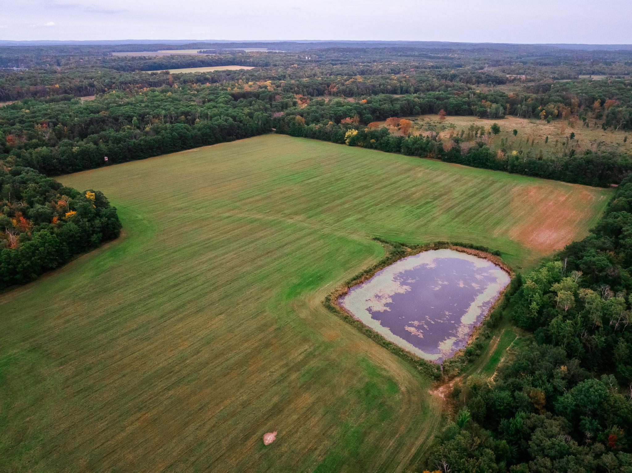 32619 40th Avenue Cushing, MN 56443 - Photo 10 of 61