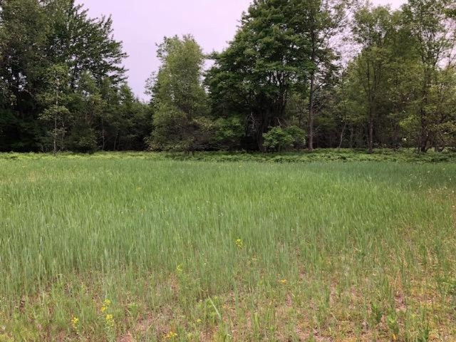 1501 Badgley Road Vanderbilt, MI 49795 - Photo 53 of 68 IMG_7127
