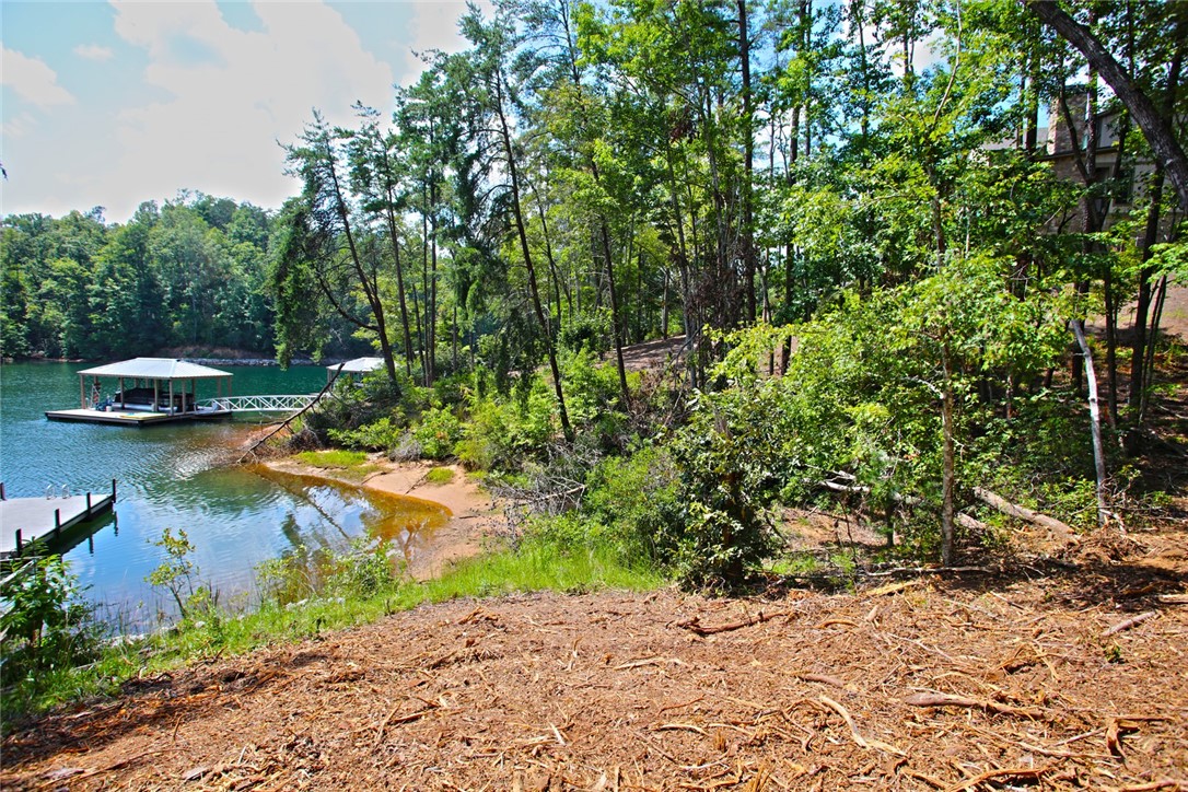 590 Old Chapman Bridge Road Salem, SC 29676 - Photo 25 of 43 Mature trees frame beautiful lake views from this sloped waterfront parcel.