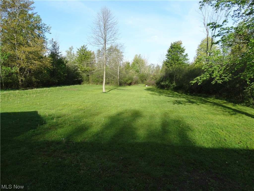 4100 Dayton Road Madison, OH 44057 - Photo 22 of 25 Back yard