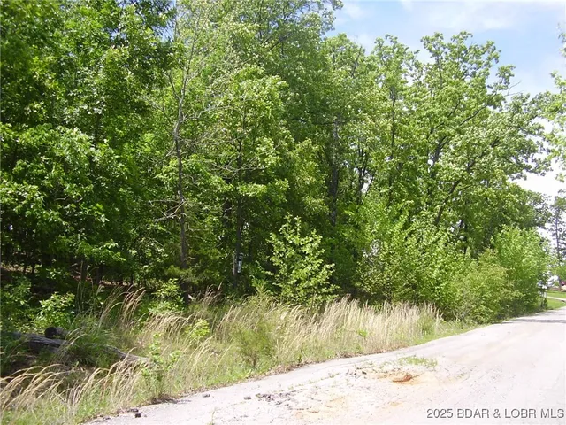 $17,500 | 26 Silver Spur Court, Camdenton, MO 65020