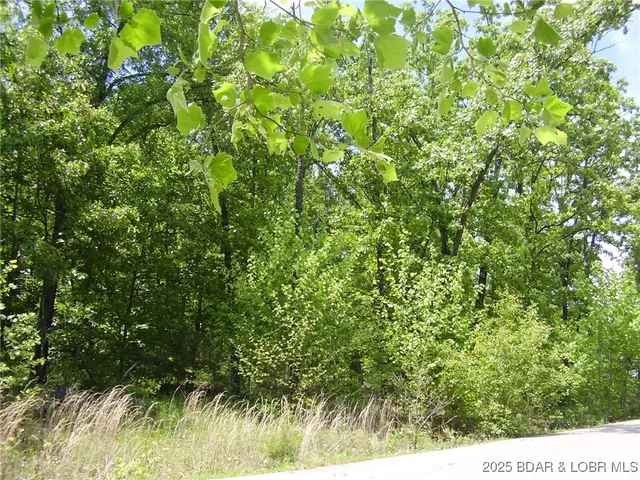 $17,500 | 26 Silver Spur Court, Camdenton, MO 65020