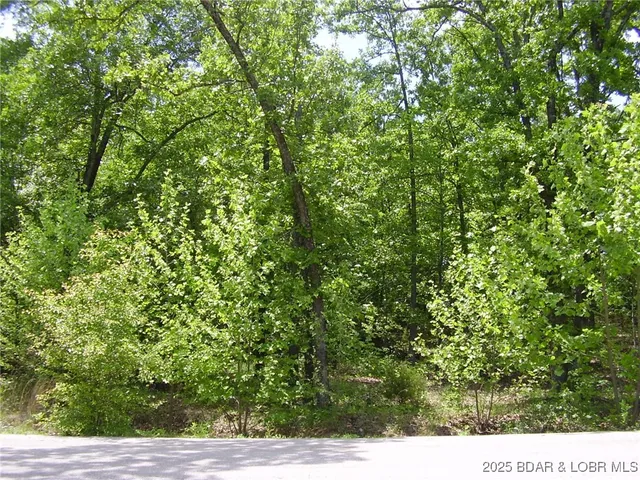 $17,500 | 26 Silver Spur Court, Camdenton, MO 65020