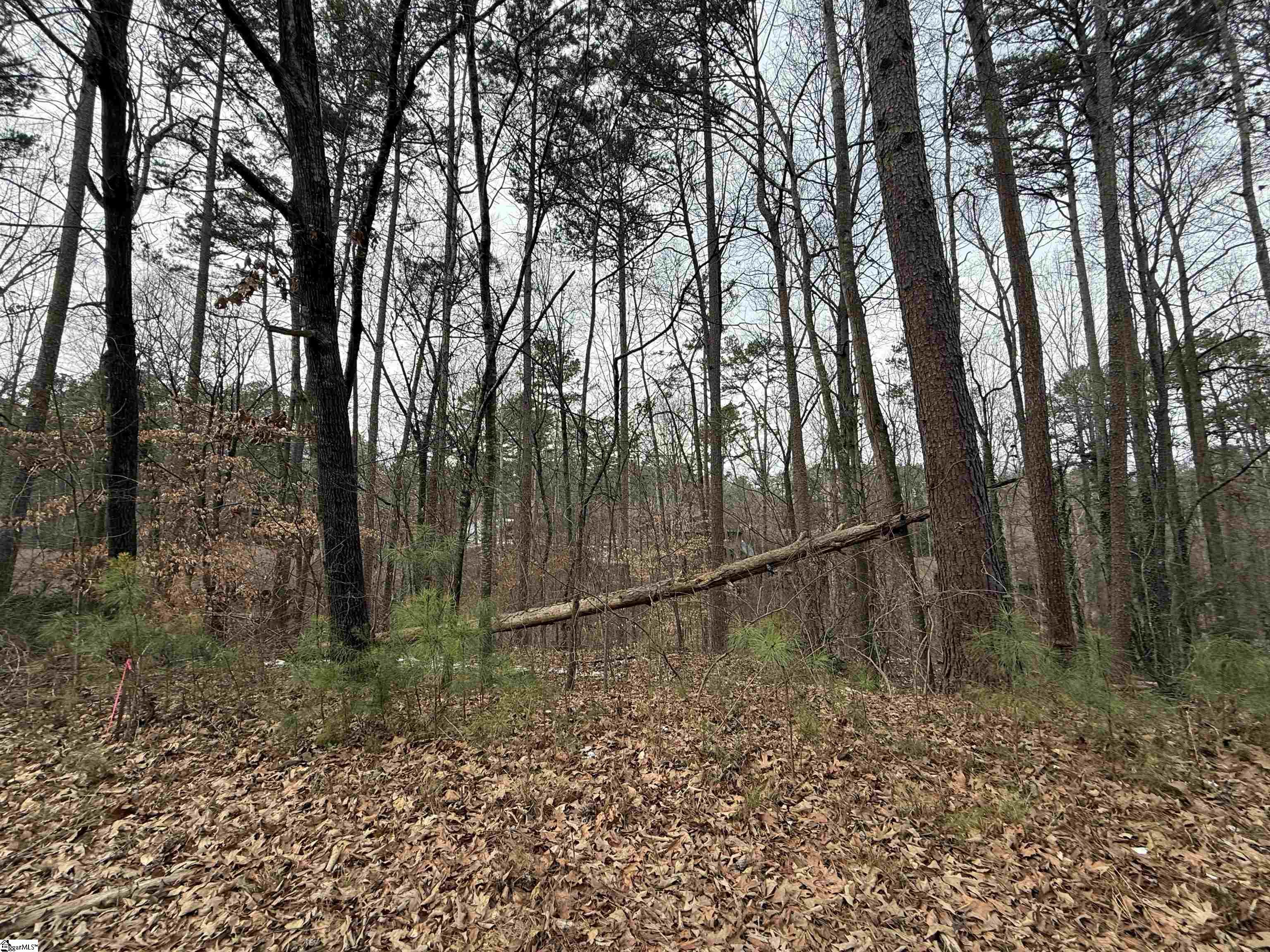 462 Fox Fire Court Seneca, SC 29672 - Photo 2 of 6