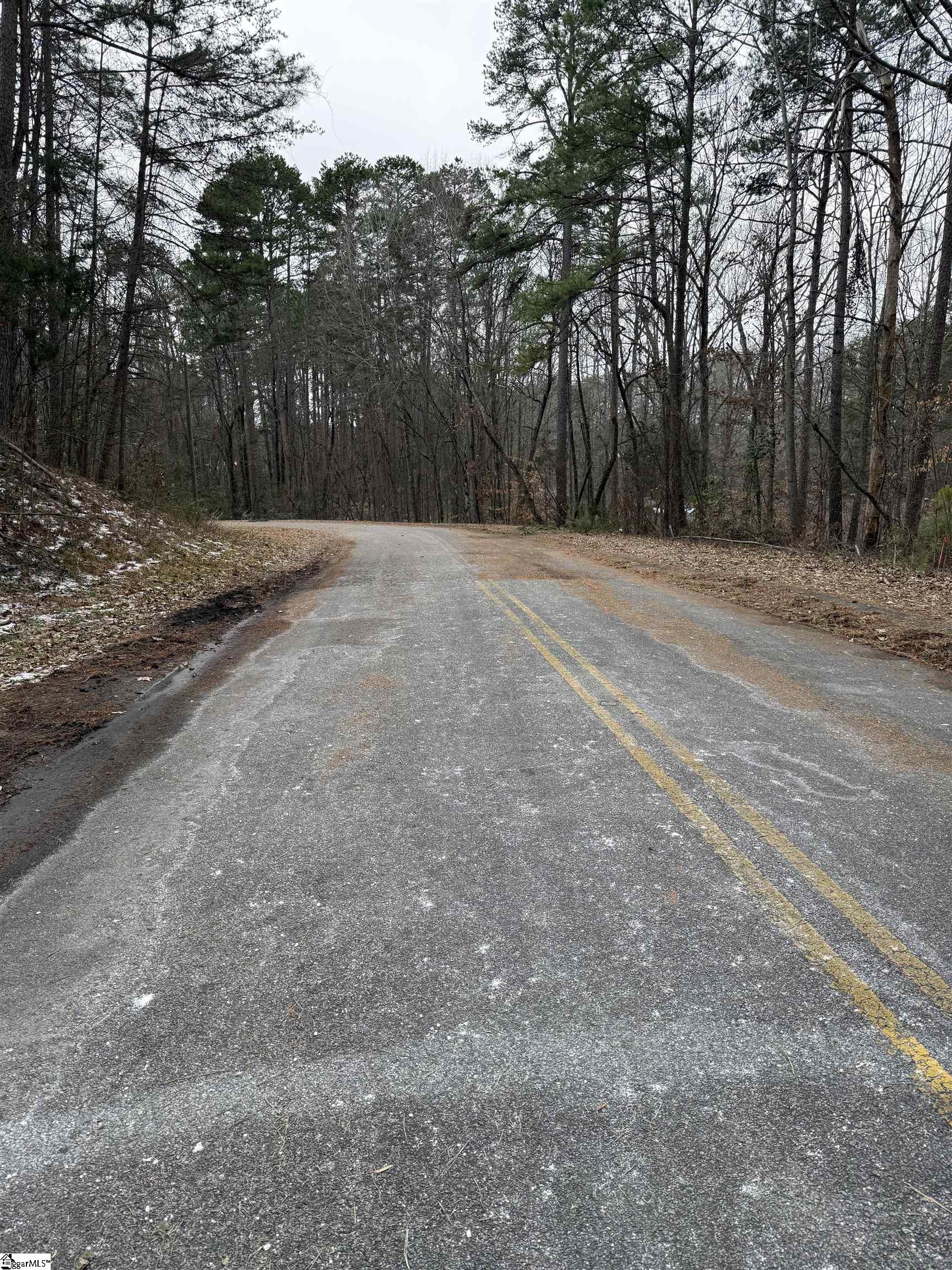 462 Fox Fire Court Seneca, SC 29672 - Photo 5 of 6