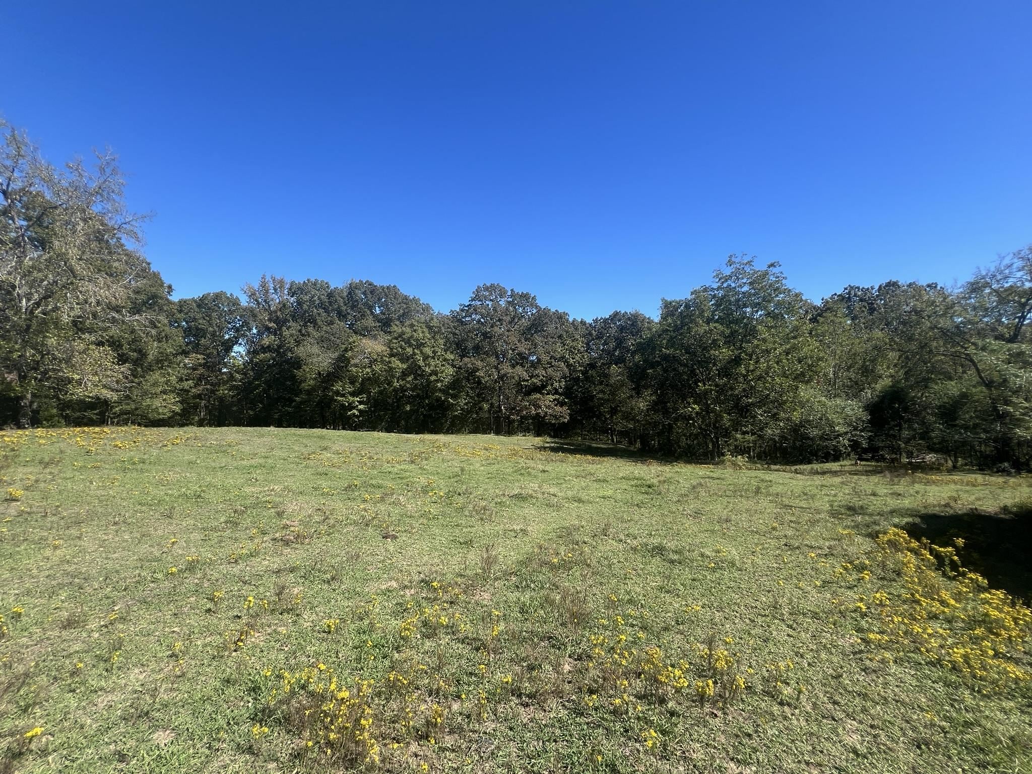 0 Walls Road Somerville, TN 38068 - Photo 1 of 15
