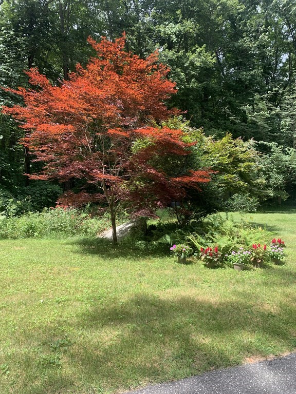 33 North Monson Road Hampden, MA 01036 - Photo 2 of 9 a view of a garden