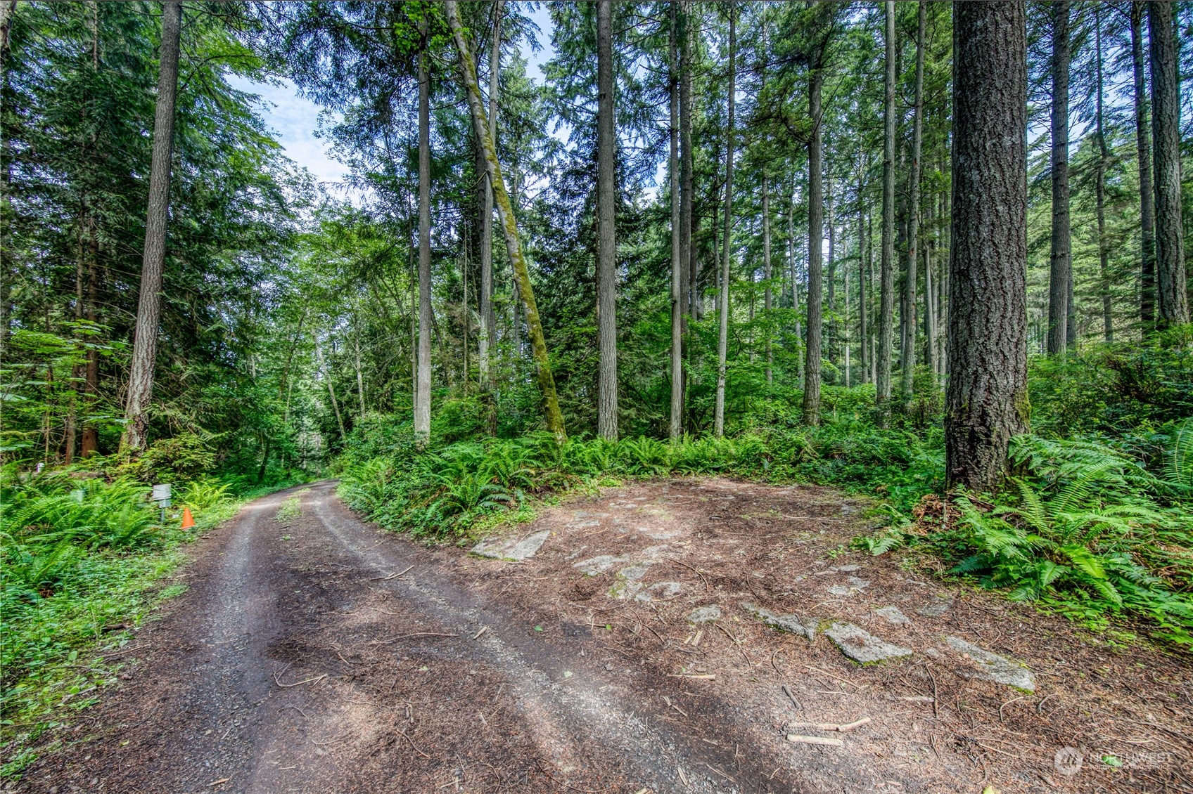 1-lot C Springridge Road Northeast Bainbridge Island, WA 98110 - Photo 13 of 27 Gallery Image 13