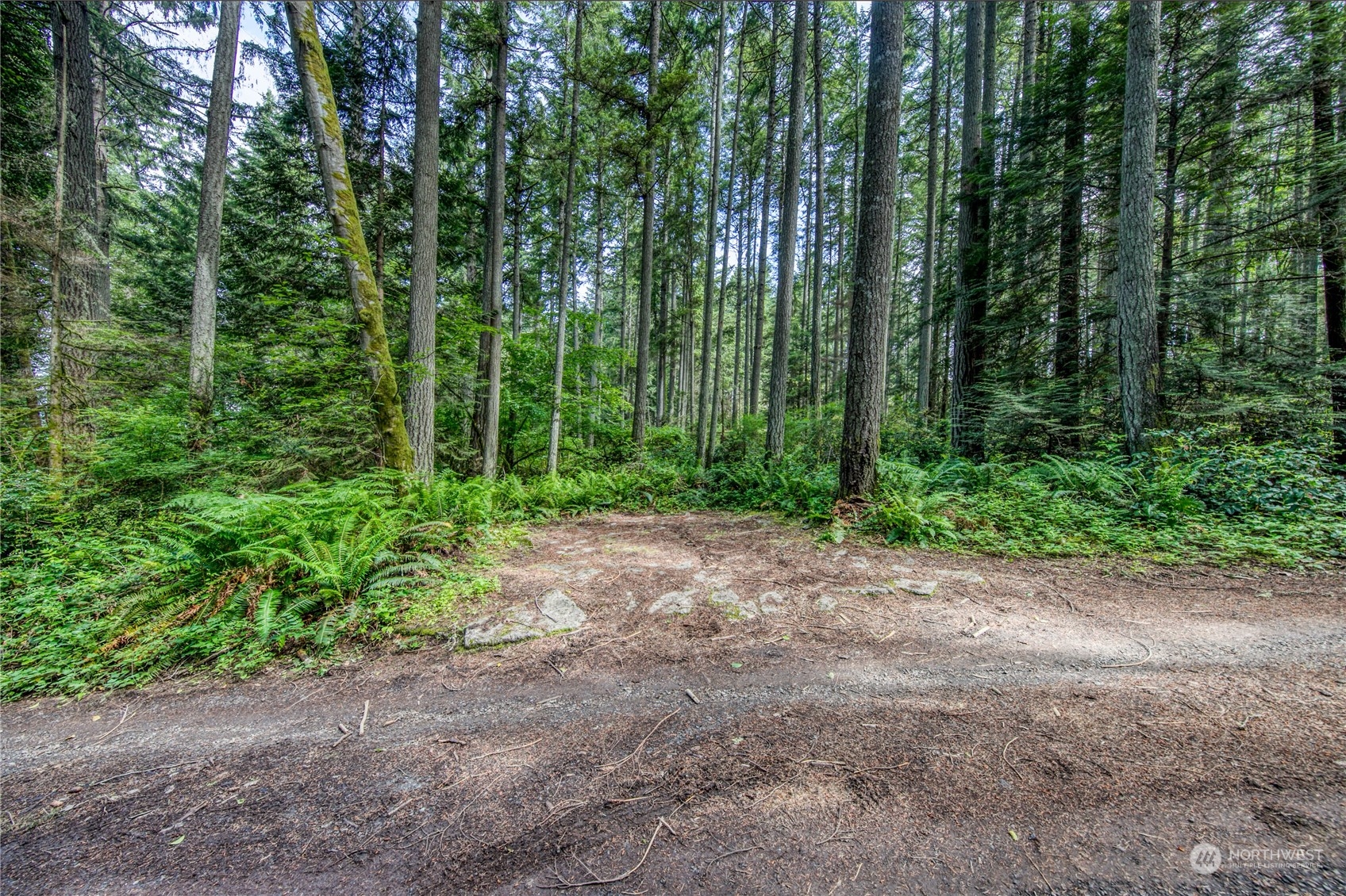 1-lot C Springridge Road Northeast Bainbridge Island, WA 98110 - Photo 14 of 27 Gallery Image 14