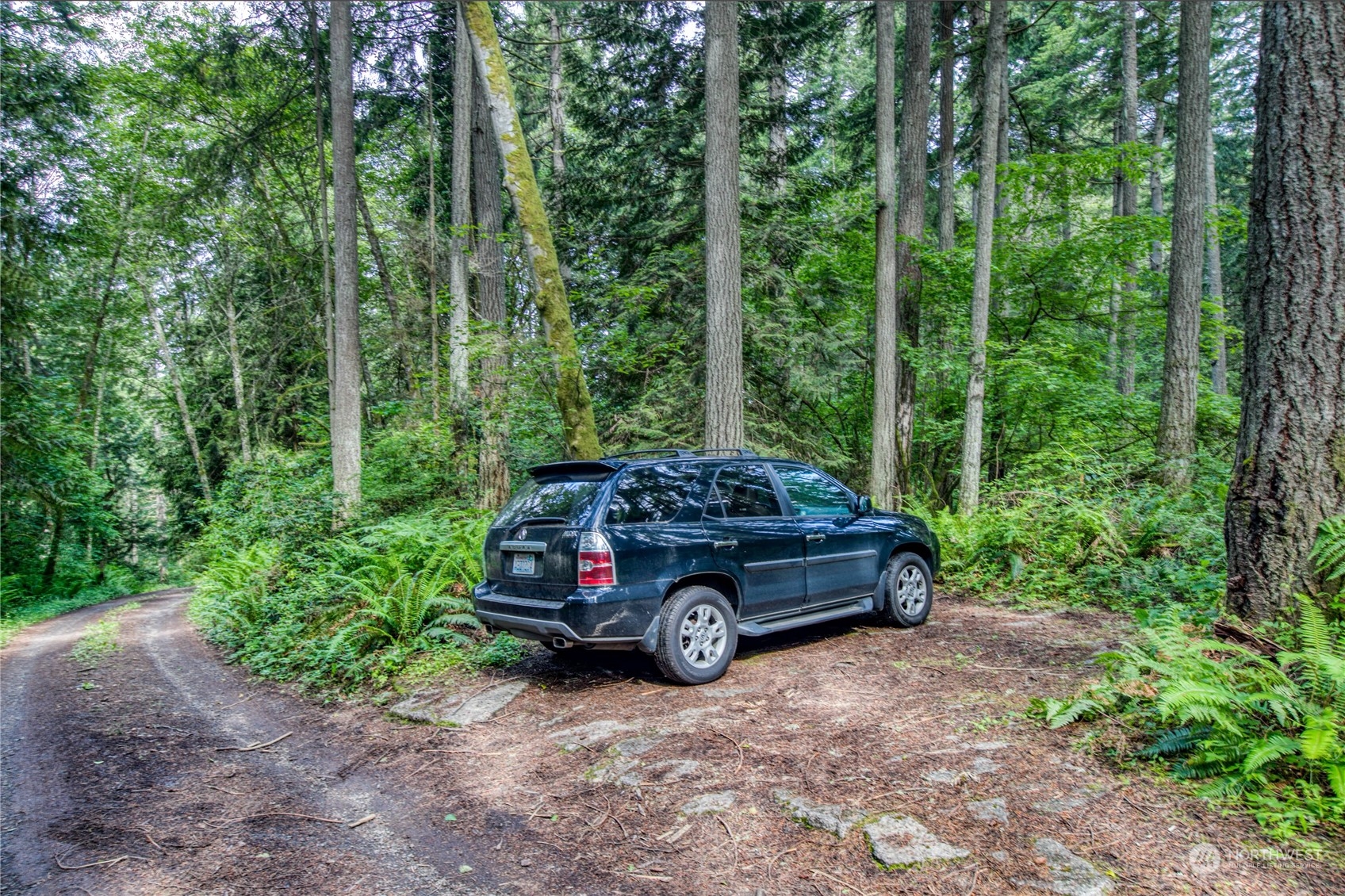 1-lot C Springridge Road Northeast Bainbridge Island, WA 98110 - Photo 15 of 27 Gallery Image 15