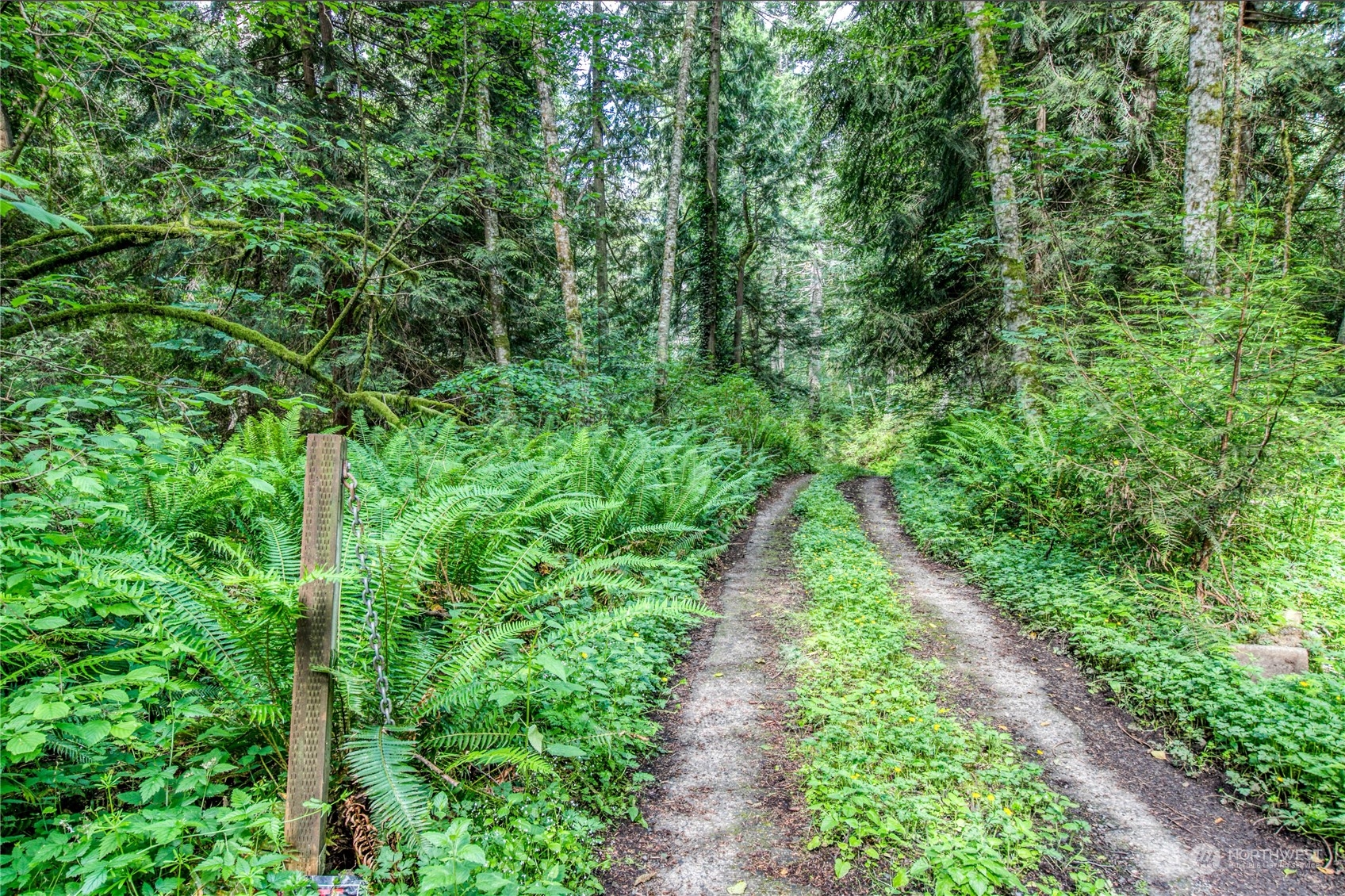 1-lot C Springridge Road Northeast Bainbridge Island, WA 98110 - Photo 17 of 27 Gallery Image 17
