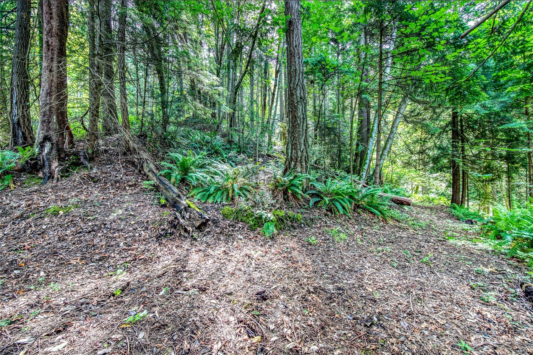 1-lot C Springridge Road Northeast Bainbridge Island, WA 98110 - Photo 19 of 27 Gallery Image 19
