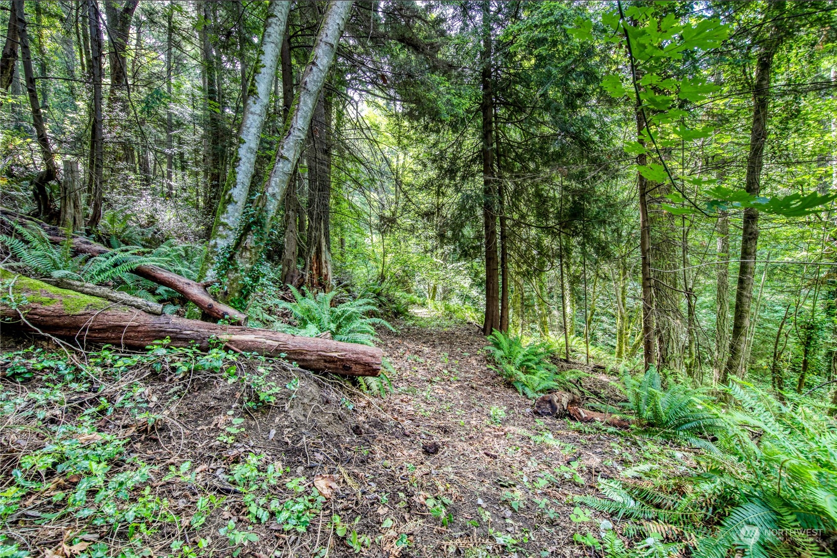 1-lot C Springridge Road Northeast Bainbridge Island, WA 98110 - Photo 24 of 27 Gallery Image 24