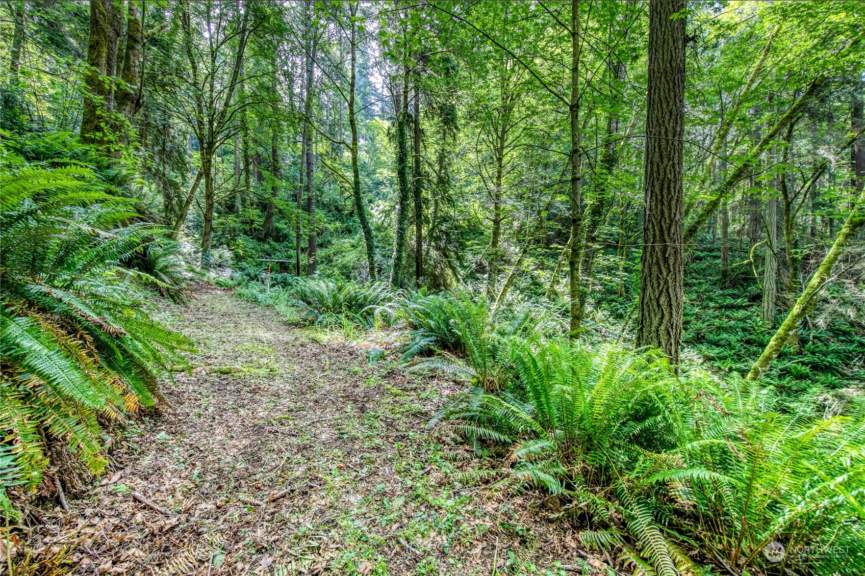 1-lot C Springridge Road Northeast Bainbridge Island, WA 98110 - Photo 25 of 27 Gallery Image 25