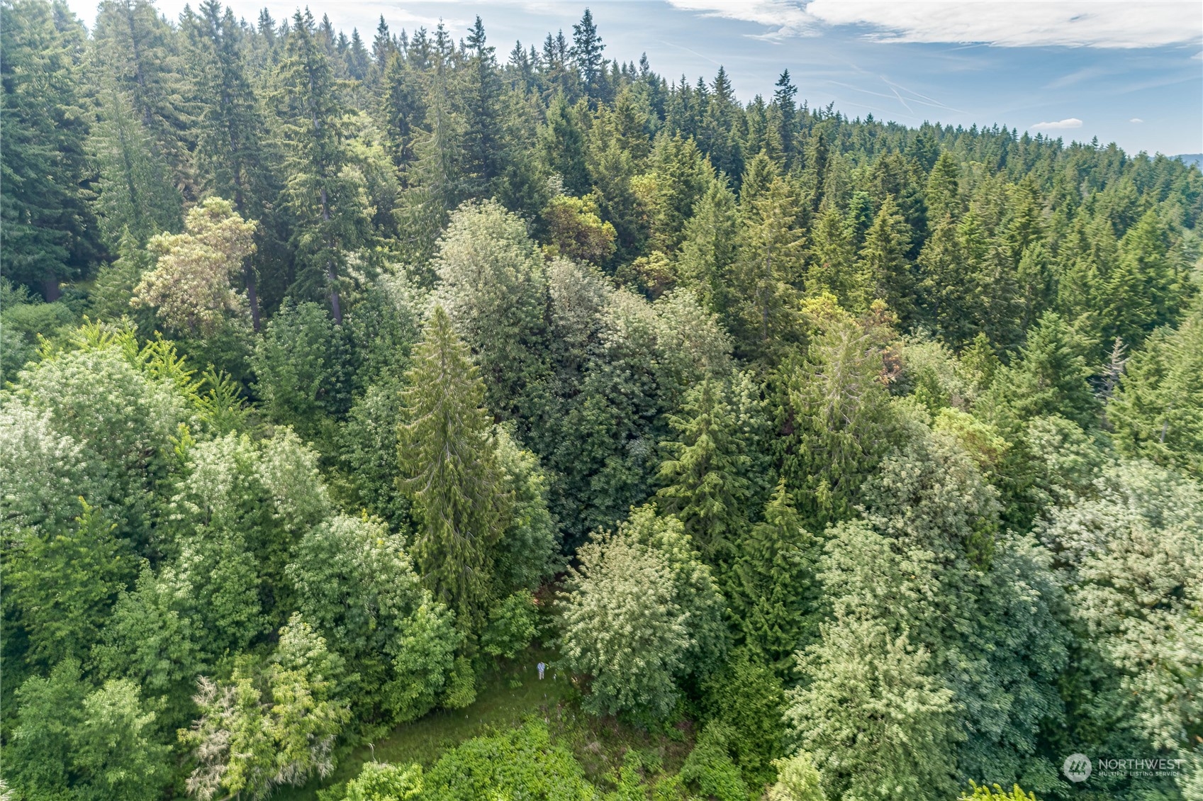 1-lot C Springridge Road Northeast Bainbridge Island, WA 98110 - Photo 4 of 27 Gallery Image 4