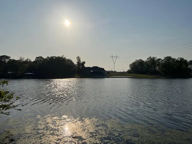 a view of a house with backyard and a tree