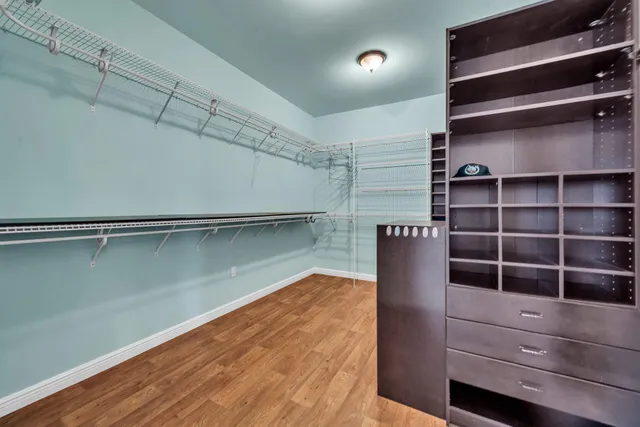 a view of a yard with plants and trees