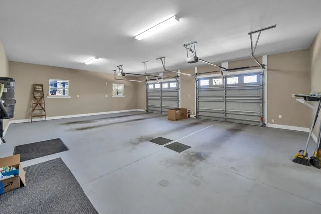 a view of a garden with a tree