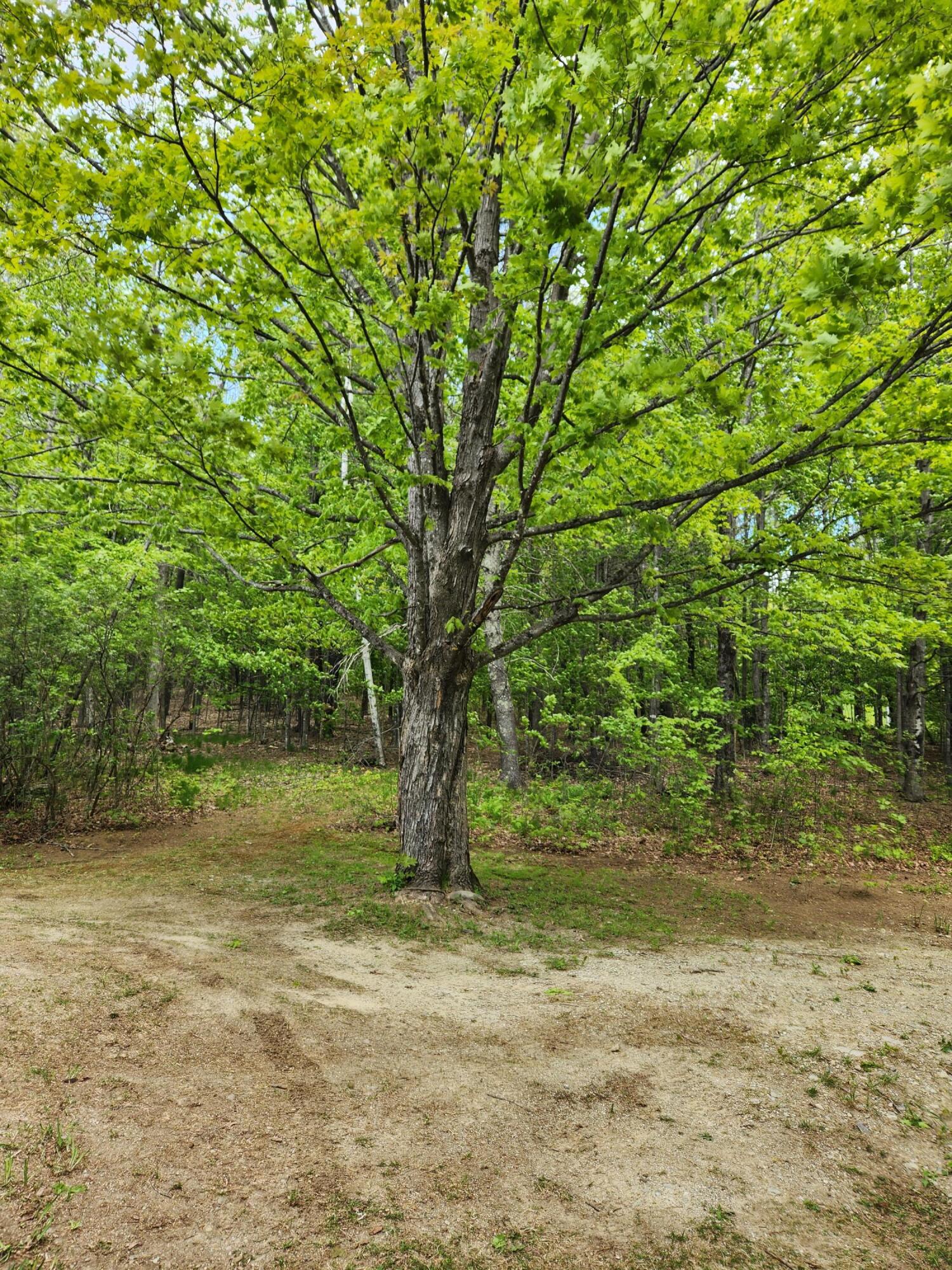 110 Christian Ridge Road South Paris, ME 04281 - Photo 65 of 69 20230517_145648