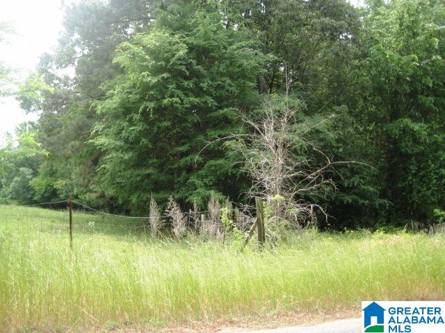 0 Sulphur Springs Road, Unit 10 ACRES Lincoln, AL 35096 - Photo 1 of 32