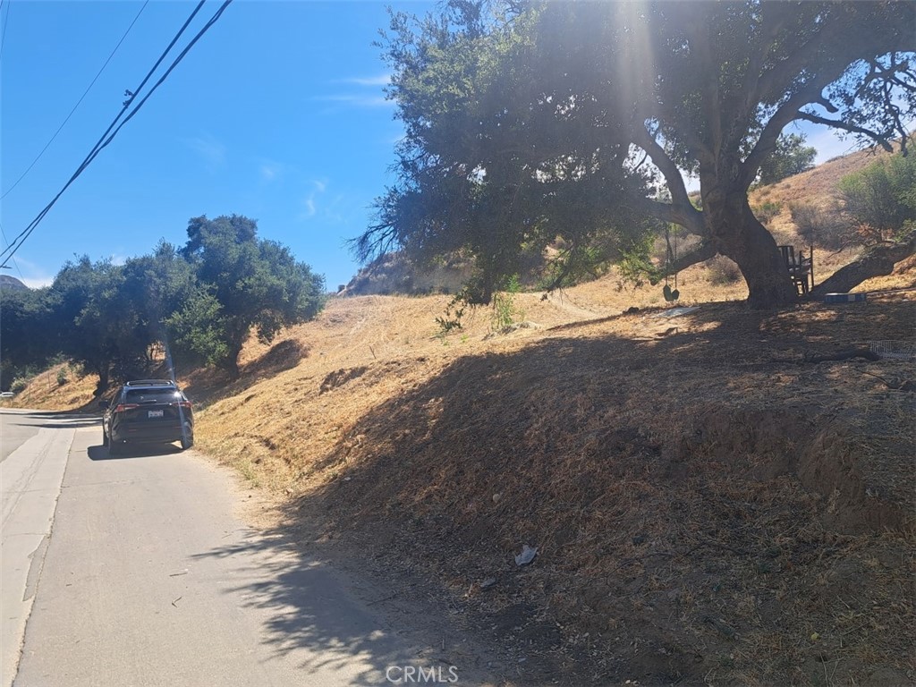 a view of a yard of the house