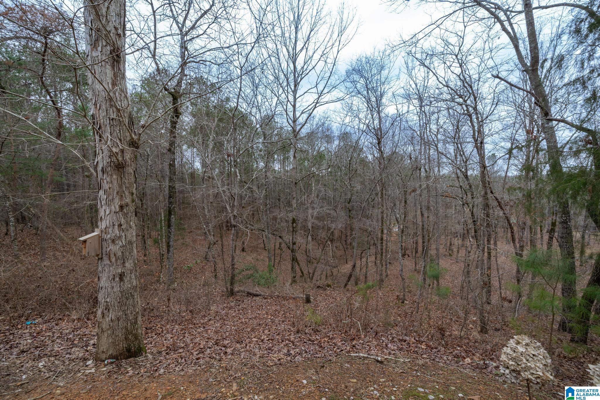 147 Highland Ridge Drive Chelsea, AL 35043 - Photo 52 of 58