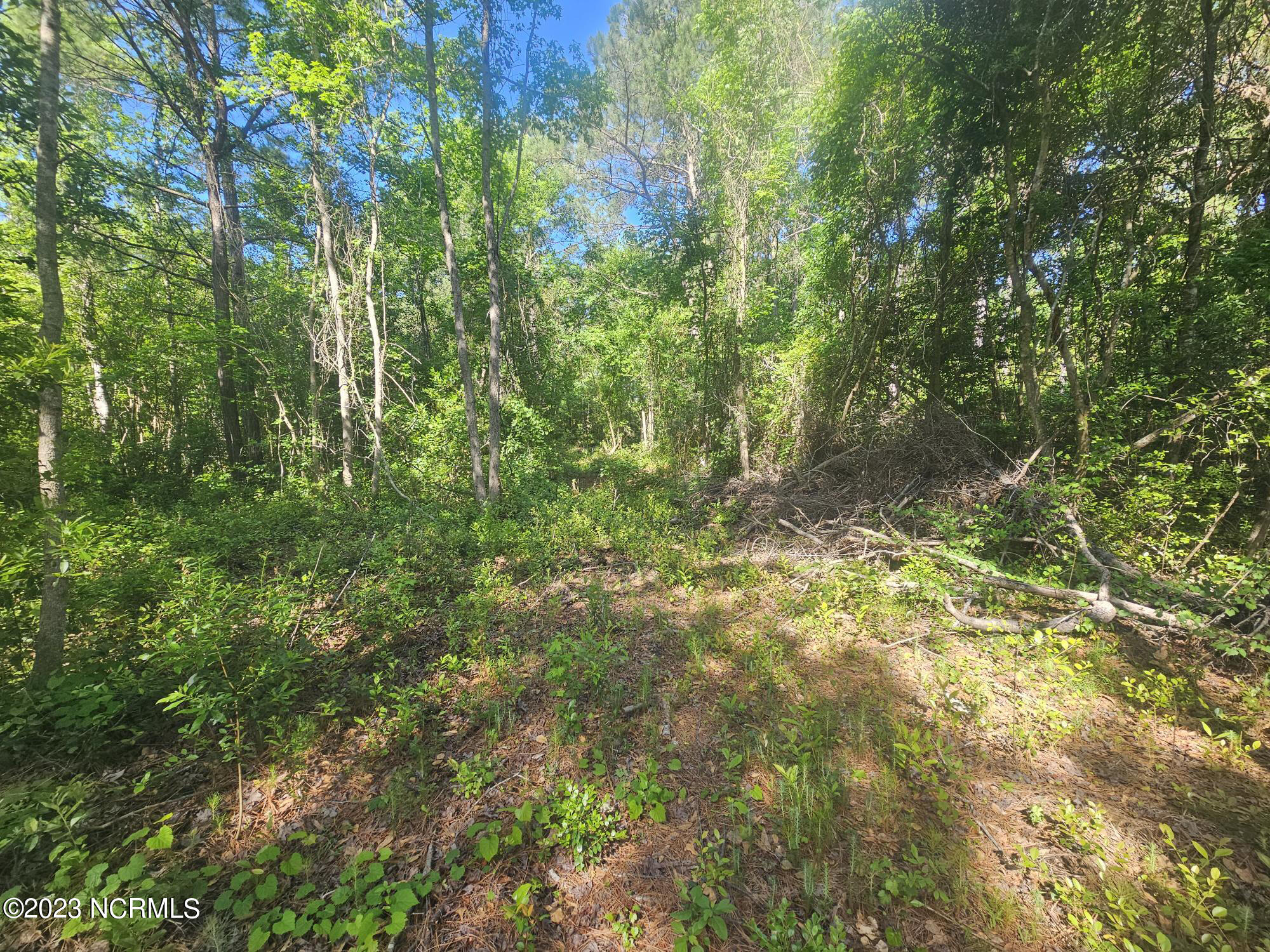 Lot 7 Dundee Trail Holly Ridge, NC 28445 - Photo 2 of 5 Lot 7