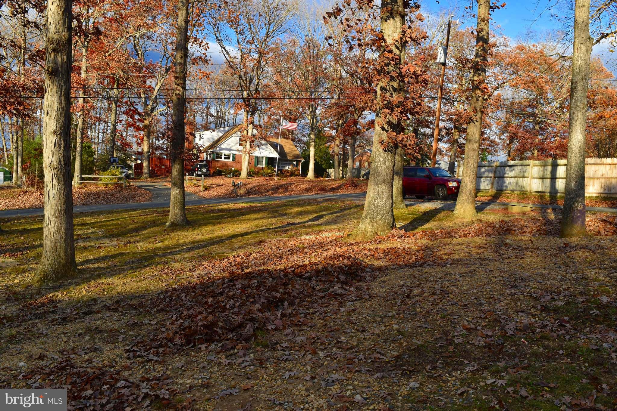 1004 Conway Road Fredericksburg, VA 22405 - Photo 4 of 59 Front Yard View