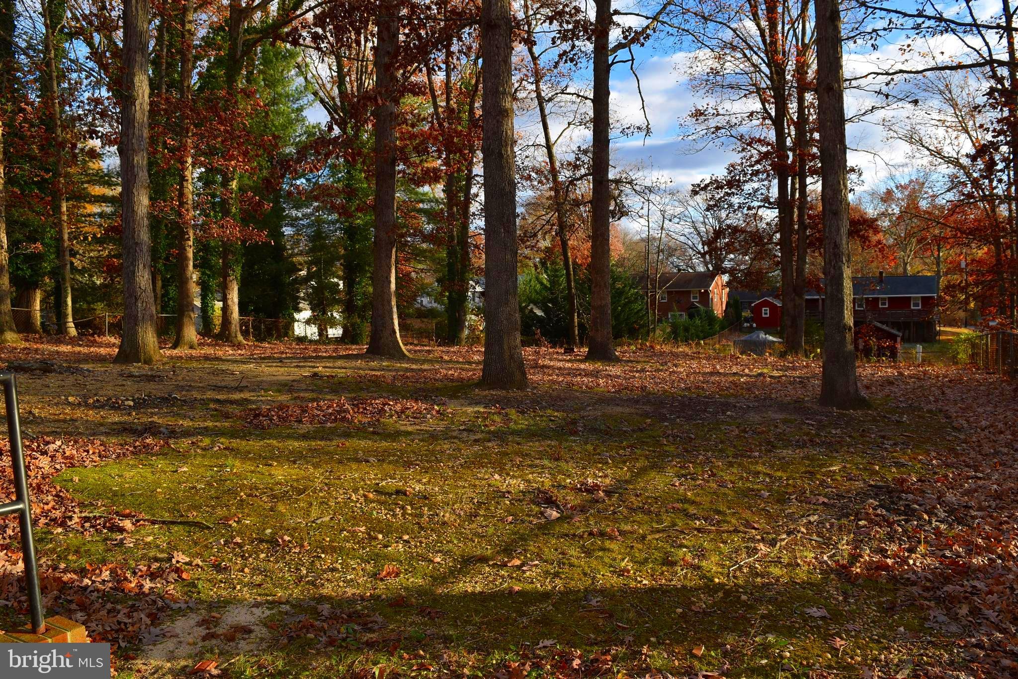 1004 Conway Road Fredericksburg, VA 22405 - Photo 5 of 59 Rear Yard View