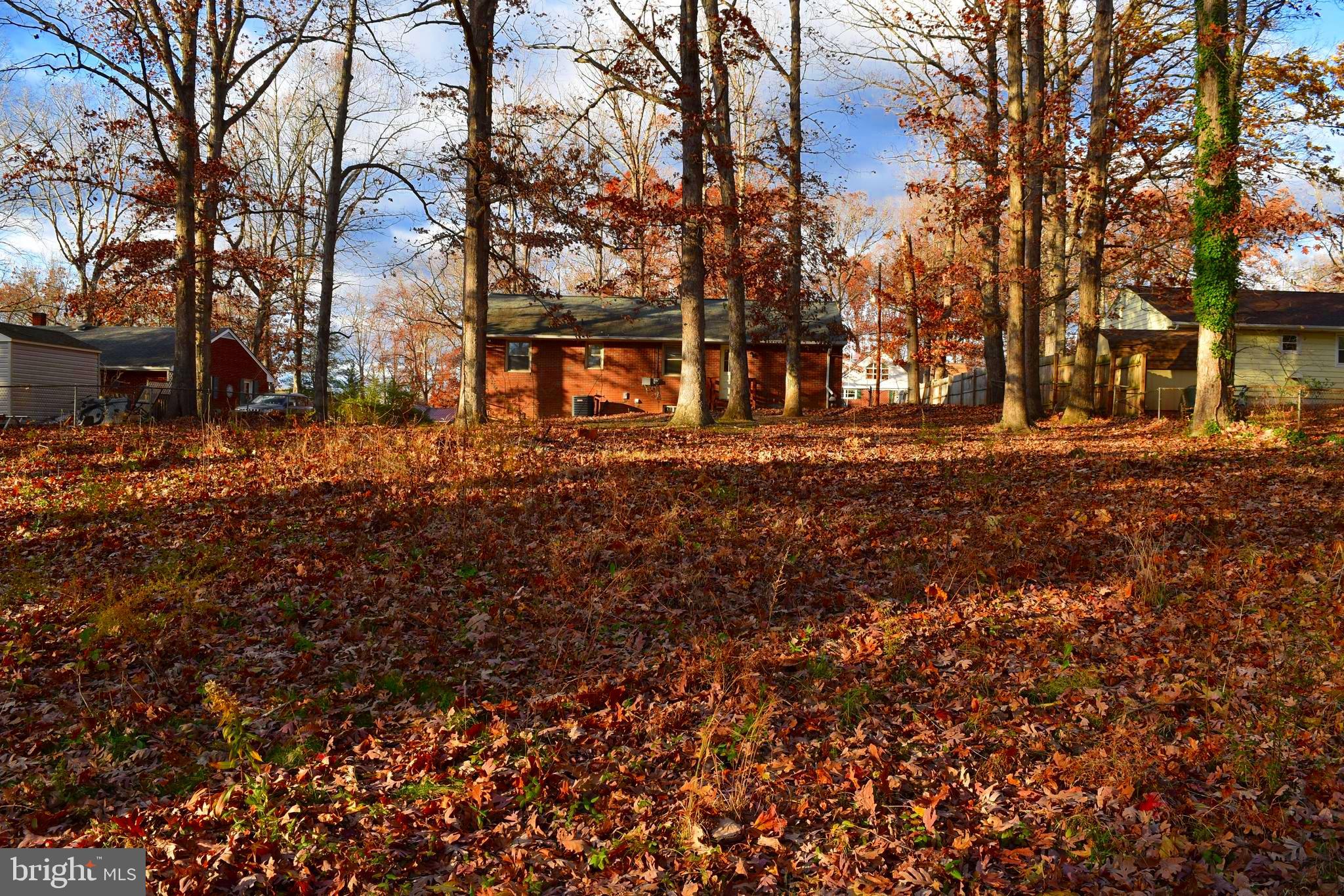 1004 Conway Road Fredericksburg, VA 22405 - Photo 7 of 59 Rear Yard View