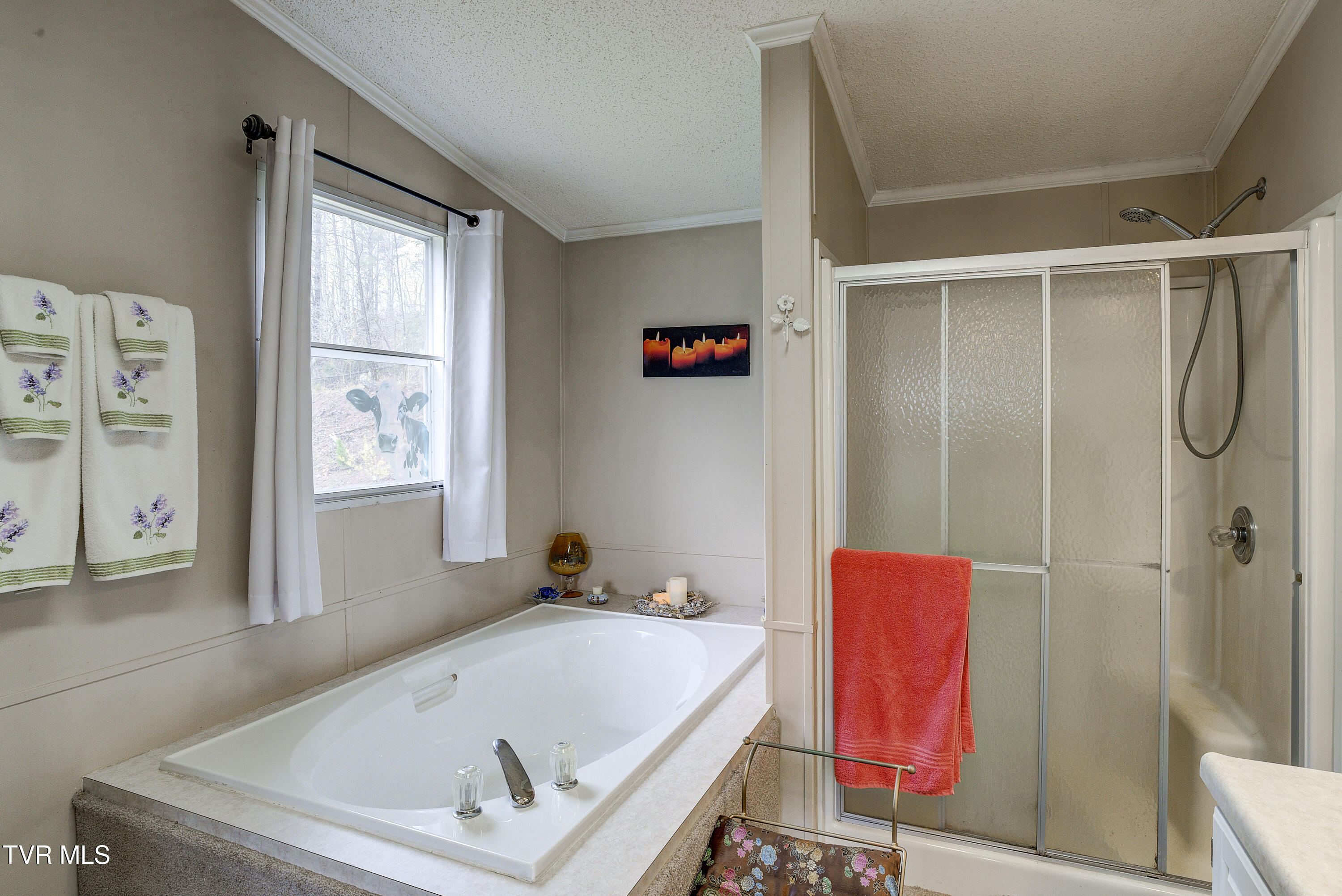 958 Avery Branch Road Mountain City, TN 37683 - Photo 52 of 64 Avery-29