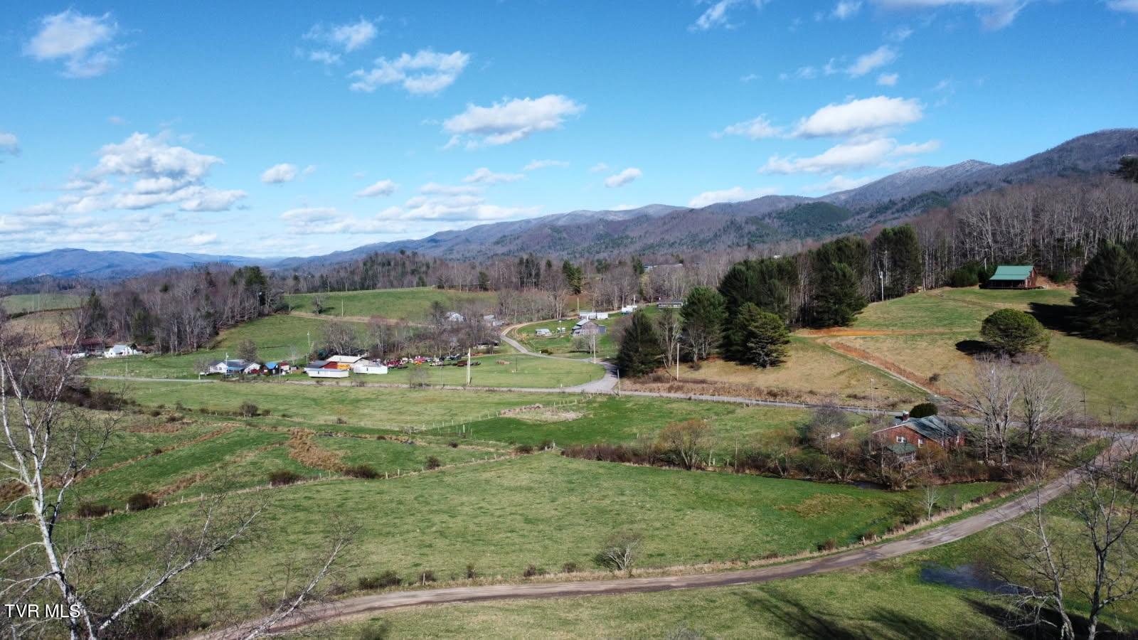 958 Avery Branch Road Mountain City, TN 37683 - Photo 59 of 64 image000000002 (1)