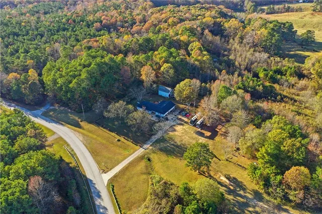 a view of a yard with plants