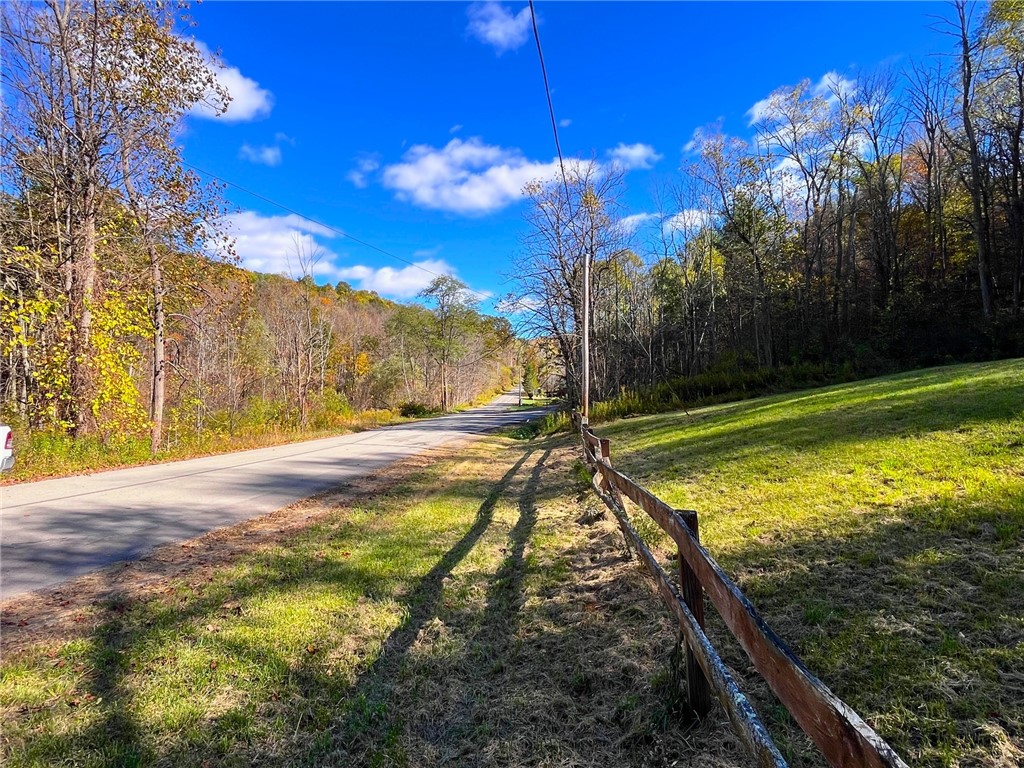 4880 Deusenberry Road Cohocton, NY 14826 - Photo 6 of 25