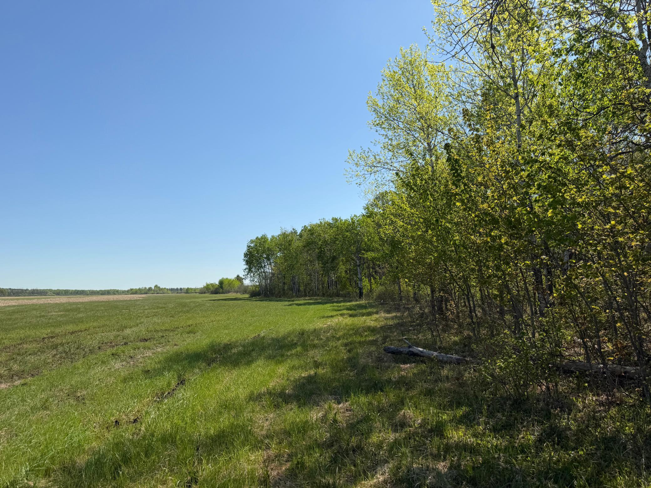 14 Sebeka Mn 56477 Sebeka, MN 56477 - Photo 61 of 79