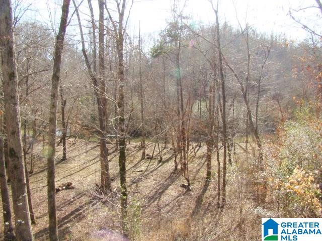 336 Verbon George Road Wellington, AL 36279 - Photo 10 of 25
