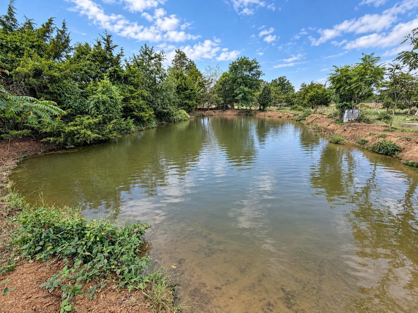 Tbd Old County Road Grottoes, VA 24441 - Photo 1 of 12 Gallery Image 1