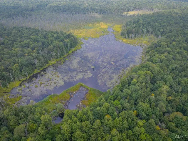 $724,900 | 222 Oak Mountain Drive, Salisbury, NY 13470