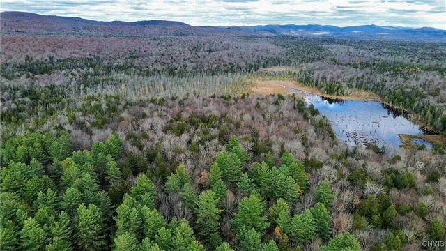 $724,900 | 222 Oak Mountain Drive, Salisbury, NY 13470