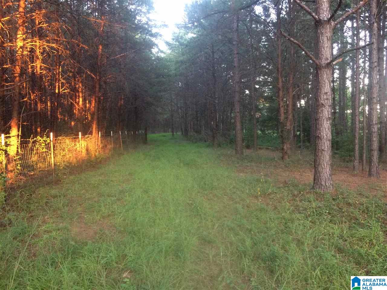 17999 Groundhog Road, Unit 40 Adger, AL 35006 - Photo 6 of 10
