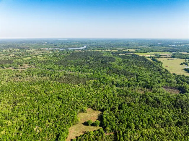$2,750,000 | 1 County Road 3322, Pittsburg, TX 75451