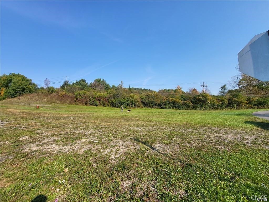 Peck Hill Road Jamesville, NY 13078 - Photo 4 of 7