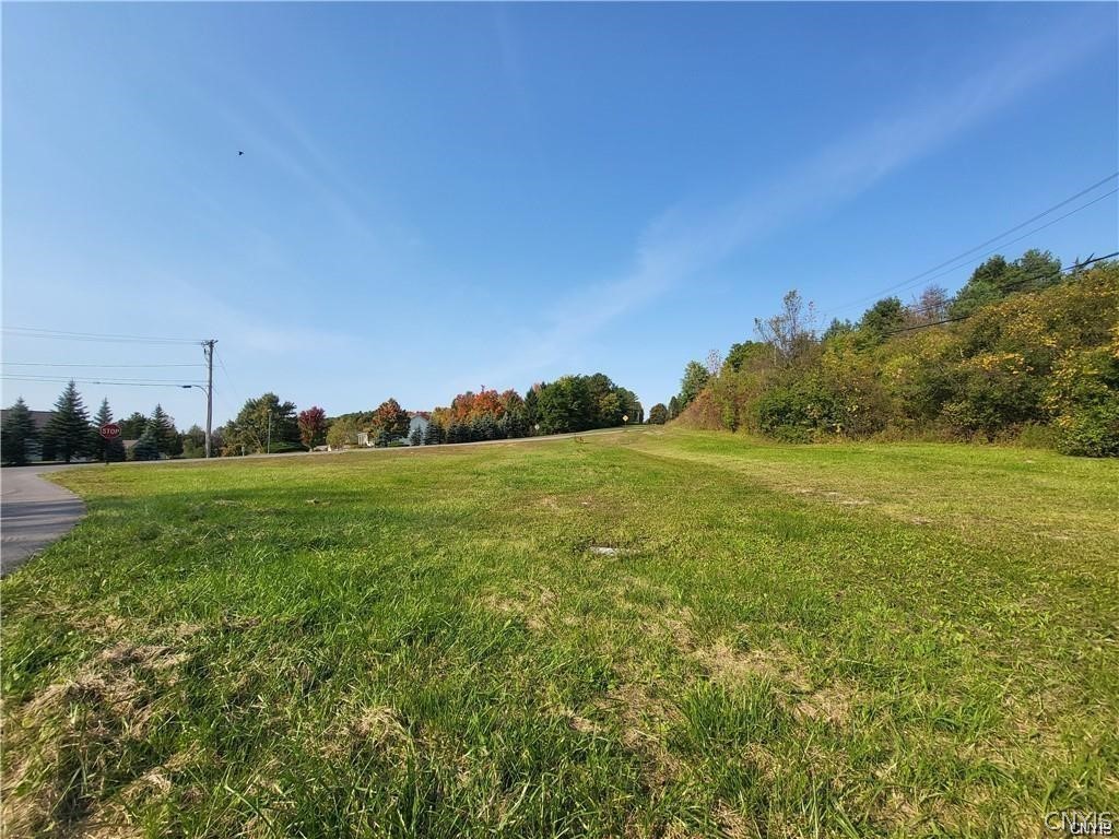 Peck Hill Road Jamesville, NY 13078 - Photo 5 of 7