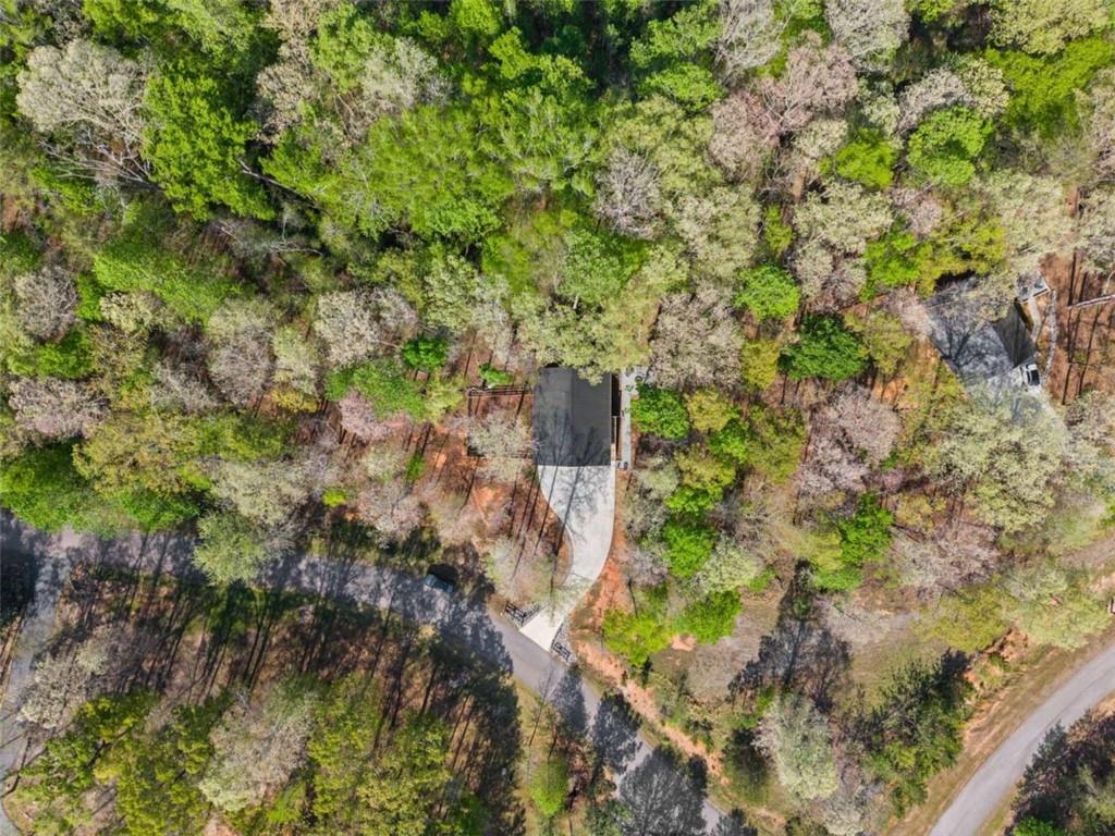 162 Hickory Ridge Drive Cleveland, GA 30528 - Photo 29 of 46