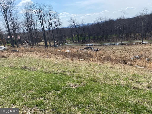 a view of side of a yard